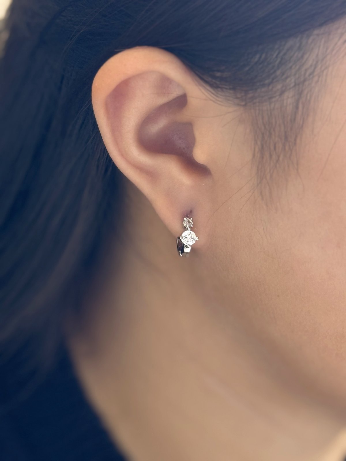 Double Stone Earrings